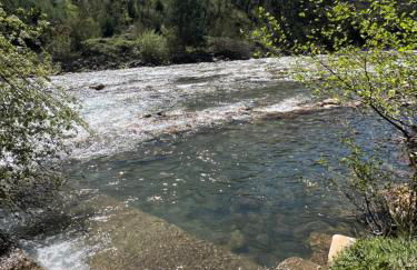 Quinta-lina de serpins - Foto 70