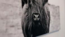 Zentrumsnahe Wohnung - Foto 5