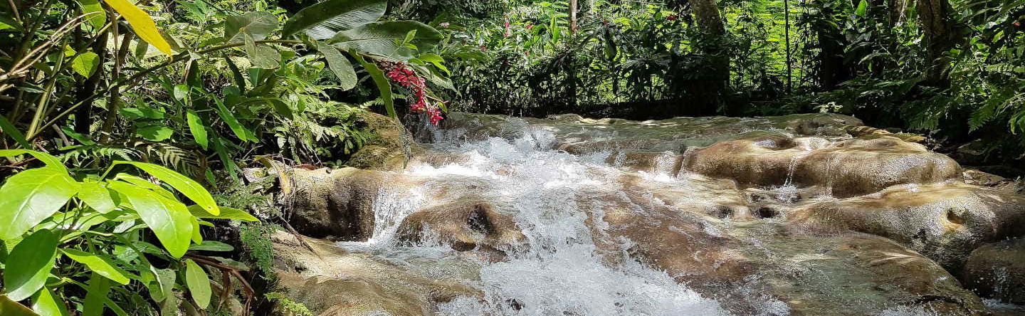 Dunn's River Falls Day Trip
