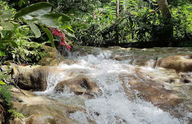 Dunn's River Falls Day Trip - Photo 1