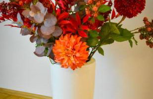 StellaStudio - Foto 12