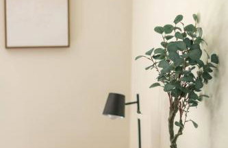 The Minimalist Retreat - Foto 44