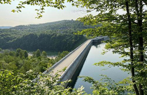 Domek nad Solina z klimatyzacją - Foto 11