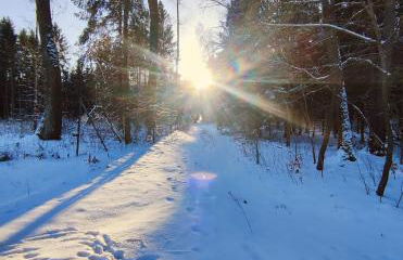 Ferienwohnung zum Hirschgrund - Foto 26