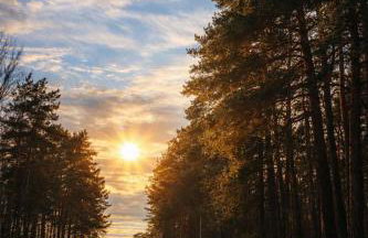 Leśne Zacisze Radawa II - Foto 1