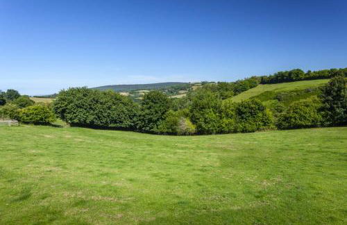 Syms Cottage Cutcombe - Foto 12