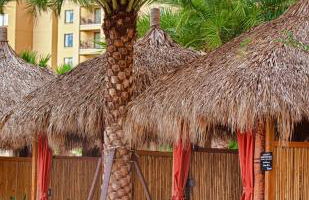 Wyndham Bonnet Creek 1BR Apartment with Resort Access - Foto 24