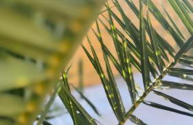 Village Díaz - Fernández - Foto 56