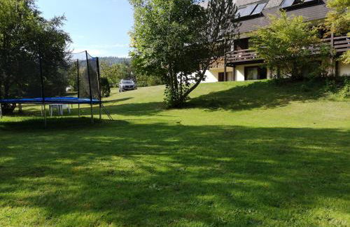 Ferienhaus Albmatte-Sauna im Haus-gemütliche Apartments - Foto 27