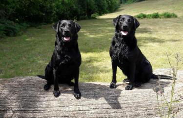 Cosy couples bolthole heart of Brecon Beacons - Photo 22