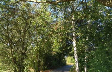 Art & Nature Apartments in der Nähe FFM-Messe - Foto 42