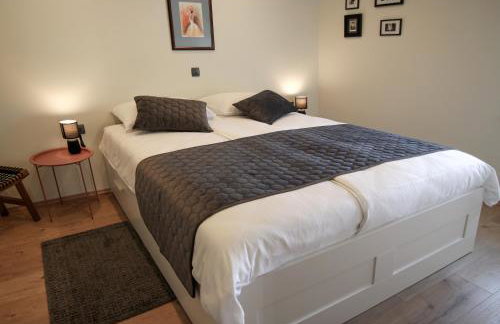 Guest house 'Villa Fani' Veprinac with jacuzzi - Foto 29