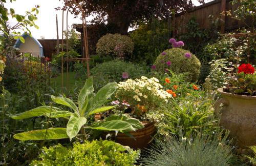 South Side - Foto 16