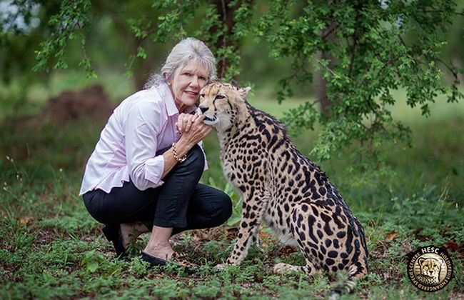 Blyde River Cabin Guesthouse - Foto 38