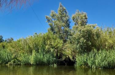 Blue&YellowHouse - Foto 15