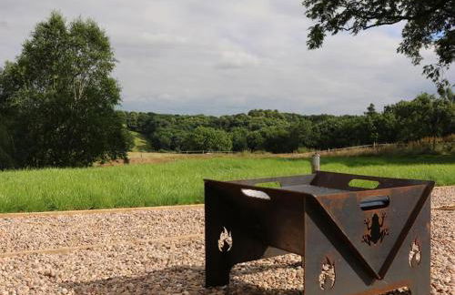 Coton - Ukc5324 - Photo 16