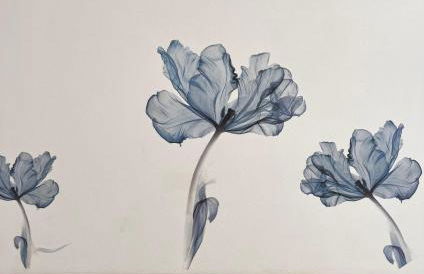 Monolocali Charlot - Foto 7