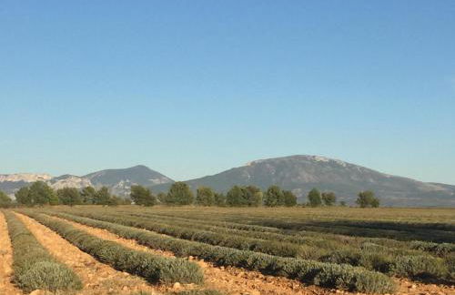 La Sarrazine - Foto 45