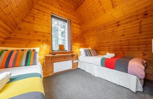 Woodpecker - Photo 37