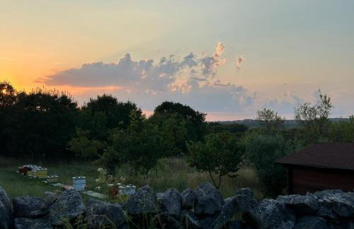 Apartment Vidoni - Photo 43