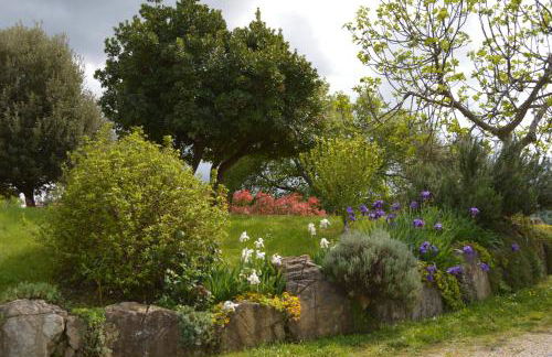 Bellavista - Foto 11