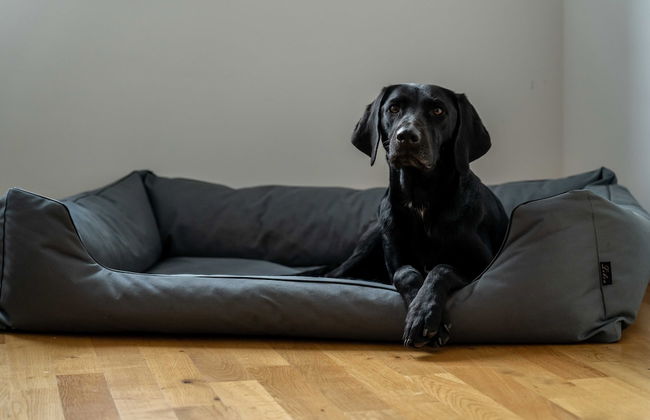 König Albert Residenz - Photo 4