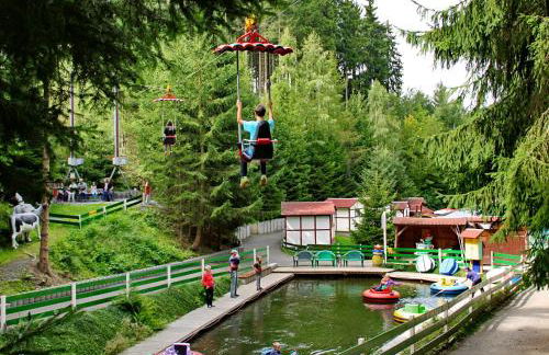 Pension 'Am Vogelherd' - Foto 28