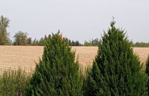 Cottage Living - Foto 13