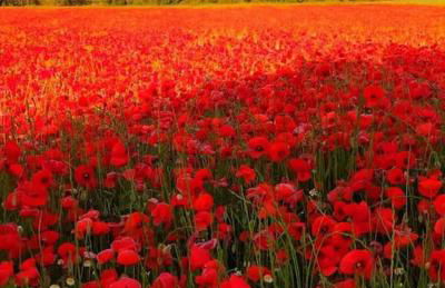 LES LLÚDRIGUES Casa Loft con aire ac y terraza - Foto 71