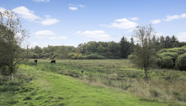 "Terese" - 45km from the sea - Foto 2, Outdoor