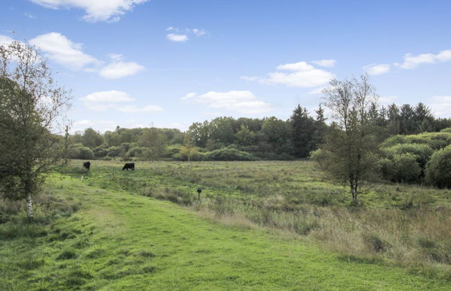 "Terese" - 45km from the sea - Photo 2