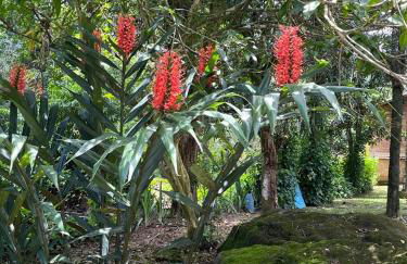 Sitio Serenar Chalés Equipados - Foto 26