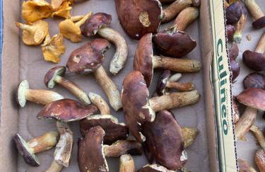 Apartamenty nad morzem Przy Klifie 2 Dębina - Foto 73