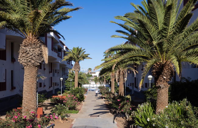 Comfy Altemar - Foto 30