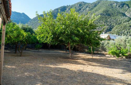 Davis Studios & Apartments - Ήλια Βόρειας Εύβοιας - 1' από τη θάλασσα - Foto 44