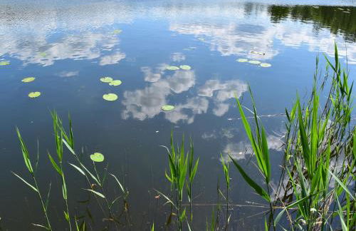 Reihenhaus Tulpe in Lohmen - Foto 64