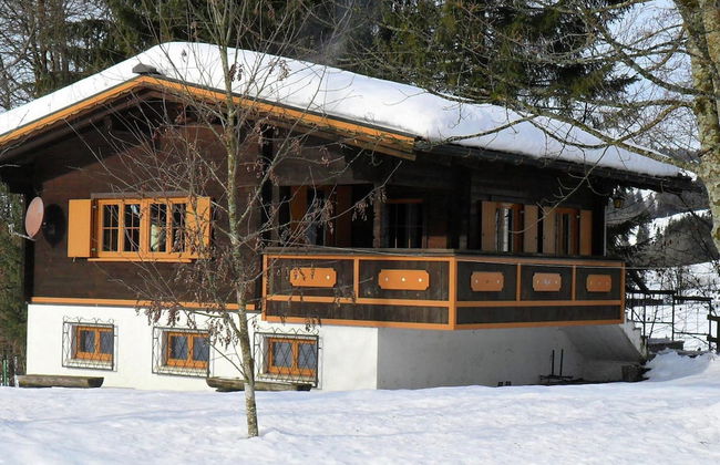 Chalet in Sibratsgfall Near Ski Slopes - Photo 1