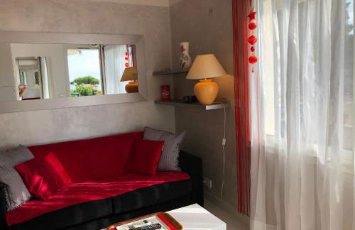 Cannes Les Pins - Foto 4