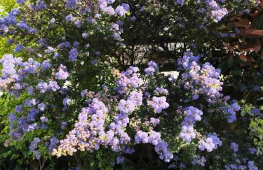 Beautiful 19th century host house near from Etretat - Foto 30