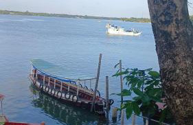 Hoste sol nascente - Photo 10