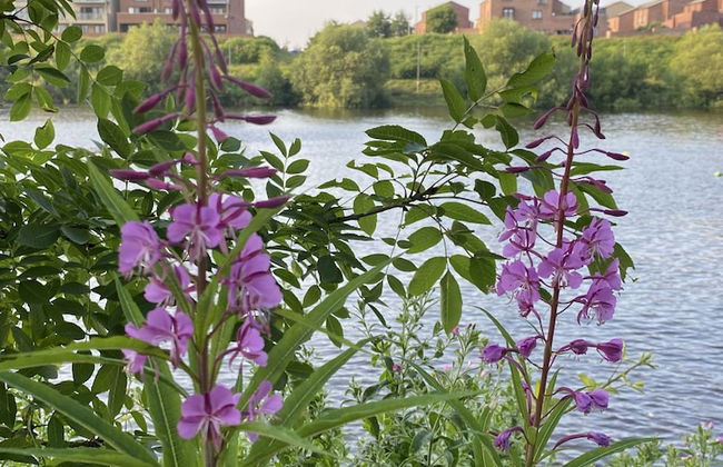 Beautiful 1-bed Apartment in Stockton-on-tees - Foto 13