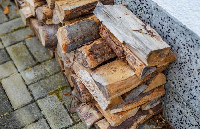 Quiet Home Near Vessertal - Photo 17