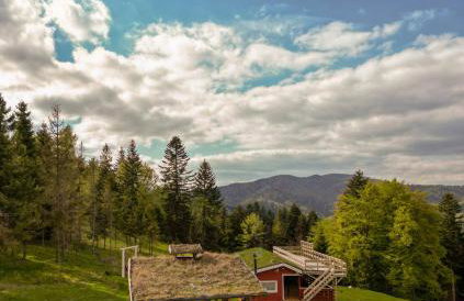 Hytta Eliaszówka - Foto 37