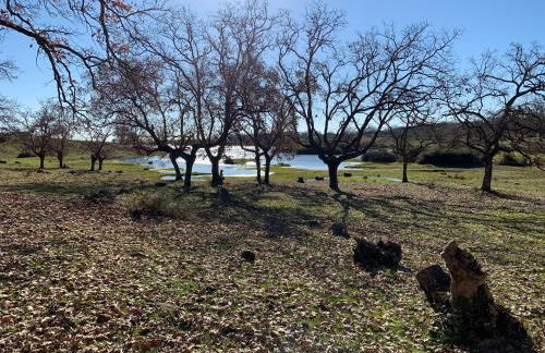 Apartamentos Turísticos Huerto El Horno - Foto 68