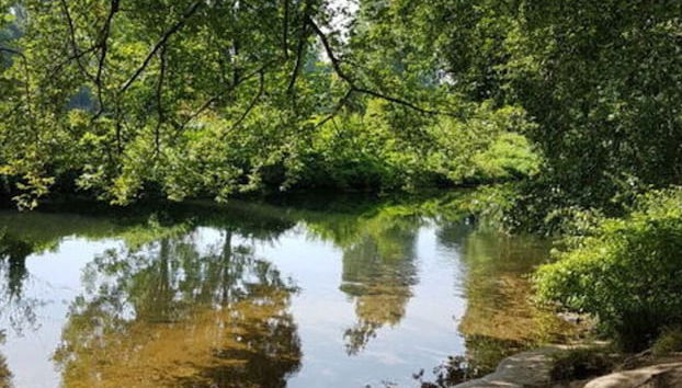 Sunshine Comfortable Holiday Residence - Foto 4, Baño