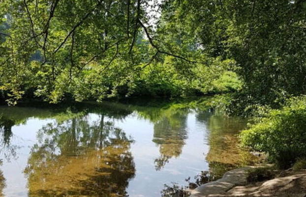 Sunshine Comfortable Holiday Residence - Photo 6