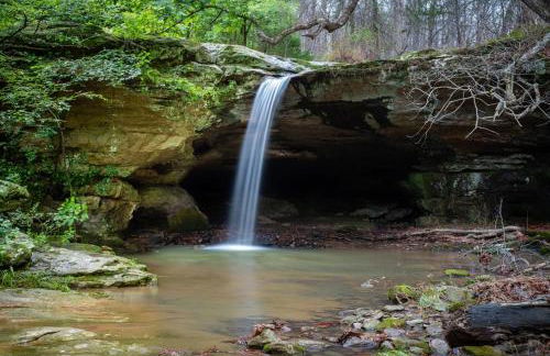 Modern 1BR Cabin w Hot Tub Near Carbondale - Foto 34