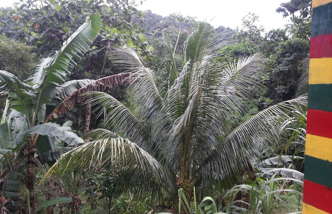 Nature in portland - Foto 23