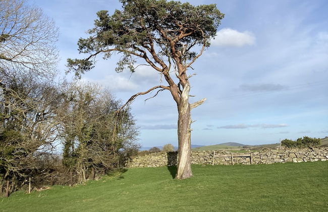 Charming 3-bed House in Abergele, Wales, UK - Foto 7