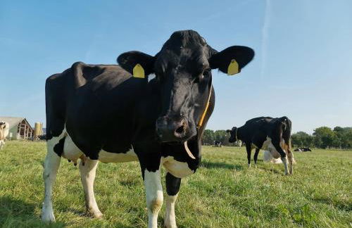 Hof Reckermann I - Foto 15